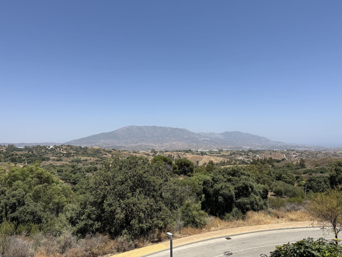 e0140eb3e8355001b780151e44a62968 - 16