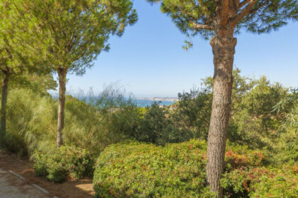 e01ab20e1f6845dd713d8ca3fbbcda32 - 50