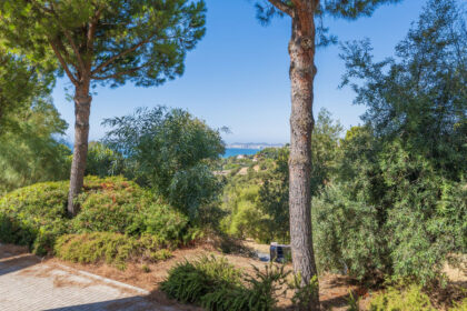 e01ab20e1f6845dd713d8ca3fbbcda32 - 51