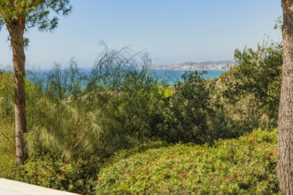 e01ab20e1f6845dd713d8ca3fbbcda32 - 57