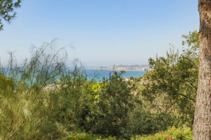 e01ab20e1f6845dd713d8ca3fbbcda32 - 59