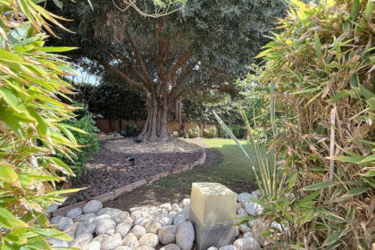 e0d0f56bfd9c1123927a743c028b5959 - 12