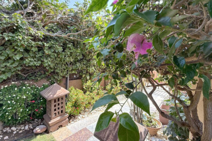 e0d0f56bfd9c1123927a743c028b5959 - 17