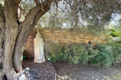 e0d0f56bfd9c1123927a743c028b5959 - 38