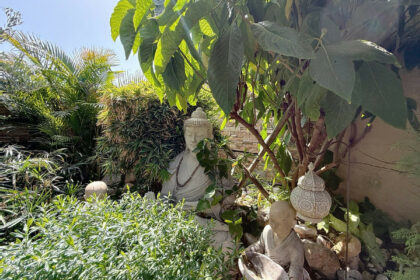 e0d0f56bfd9c1123927a743c028b5959 - 41