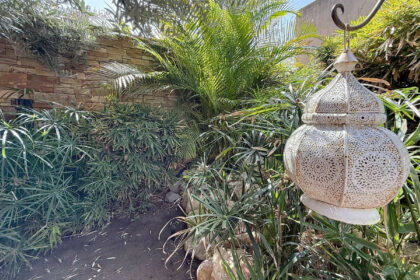 e0d0f56bfd9c1123927a743c028b5959 - 44