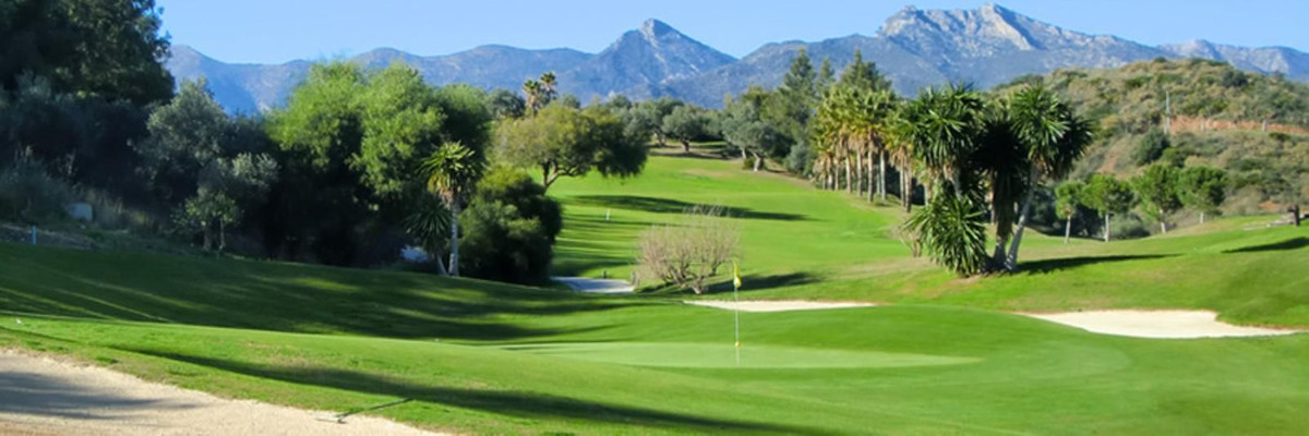 e261c0bb79684c14557dba87606d59a3 - 35