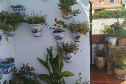 e8090776c1b56e934abca996a1340815 - 23