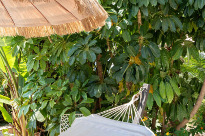 ec60ff29463e76cba5e094149e7c1efa - 25