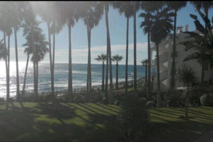 ed59b6f0178dd7f107f856eb5838f267 - 12