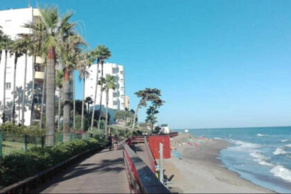 ed59b6f0178dd7f107f856eb5838f267 - 15