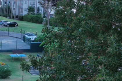 ed59b6f0178dd7f107f856eb5838f267 - 8