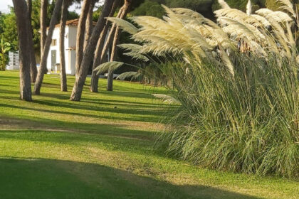 ed59b6f0178dd7f107f856eb5838f267 - 9