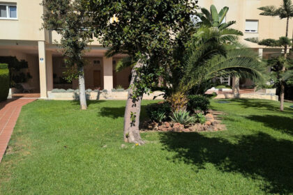 eff54eaf7c19420e3aaf903cff018b97 - 32