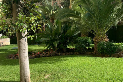 eff54eaf7c19420e3aaf903cff018b97 - 34