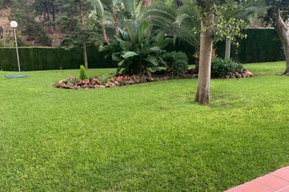 eff54eaf7c19420e3aaf903cff018b97 - 37