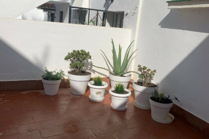 f2cd8d92b7d80d1cd472d4d6335c41c5 - 23