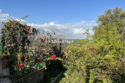 f8bcbd36faa5eeba1057a1cef520ab1a - 12