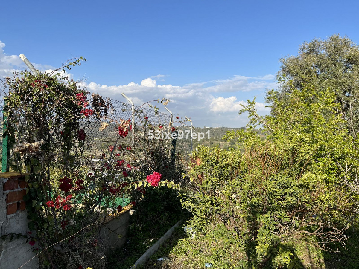 f8bcbd36faa5eeba1057a1cef520ab1a - 12