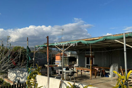 f8bcbd36faa5eeba1057a1cef520ab1a - 6