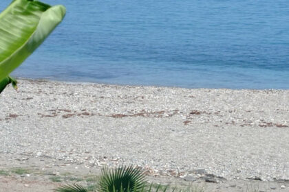 fc37e0d01a8fcbf3caa659971da1c7f8 - 14