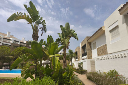 fff576383fb356bc14502c20f1b273c4 - 4