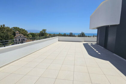 00ea22765e2d656a5c3af0015c9d7f74 - 24