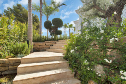 00fbf62dfe267c06792925339db8dfaf - 53