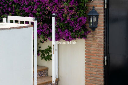 00fc460d5bf5501311847ccbcf6fd9e5 - 29