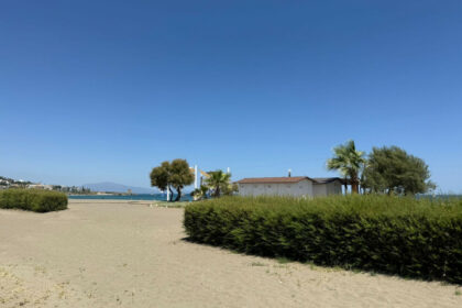 0108cd970c9900821f0c20aea592c1e3 - 29