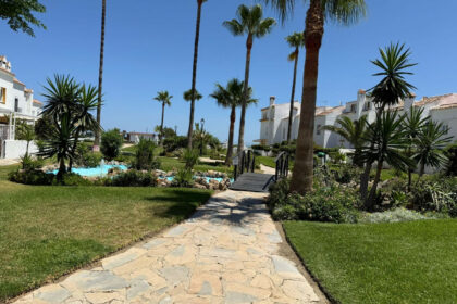 0108cd970c9900821f0c20aea592c1e3 - 31