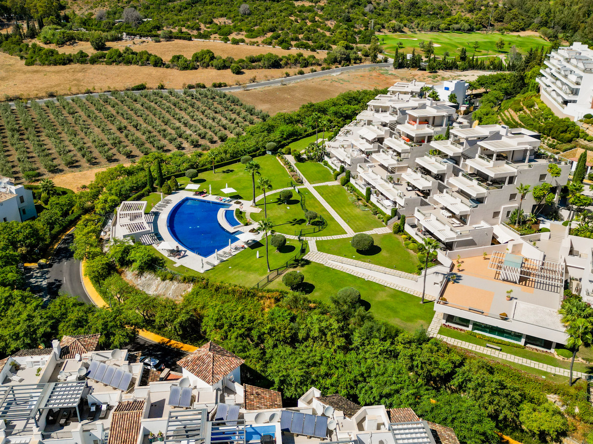 01d0eafa29db155f07dcbebd2ffe55e5 - 24