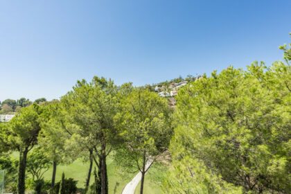 01e313546cdd5b287c2d53e2eec7fa45 - 20