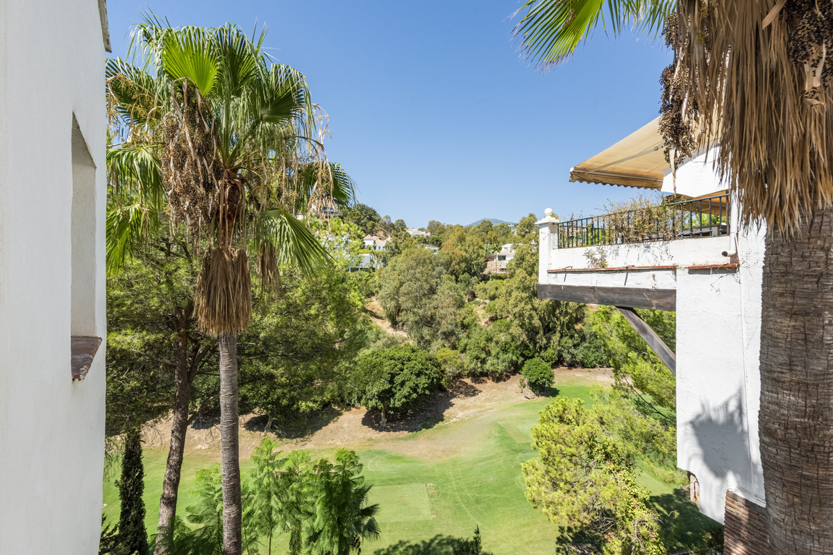 01e313546cdd5b287c2d53e2eec7fa45 - 21