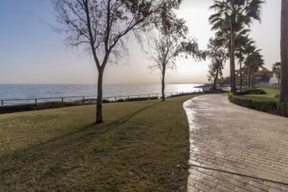 020bfa44ad1179906f5fea71541c0c21 - 44