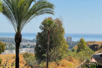 021b0bee03b13602b333d8455cb3cf8a - 17