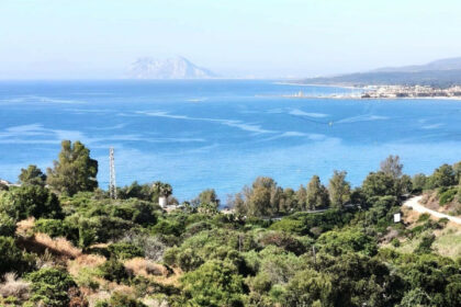 0315be0fa83fe5aa5ee42a946e552e5f - 1