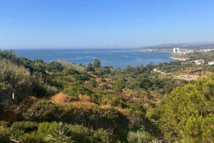 0315be0fa83fe5aa5ee42a946e552e5f - 14