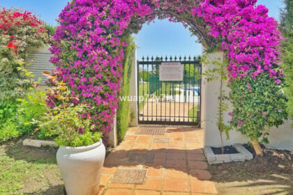 037e0391611ad741f609257c4c27d6fc - 32