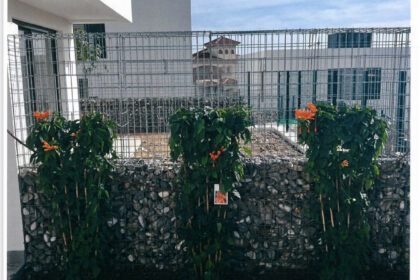 07c1d30f3b8f25f2ca669e2d0bfa05d3 - 31