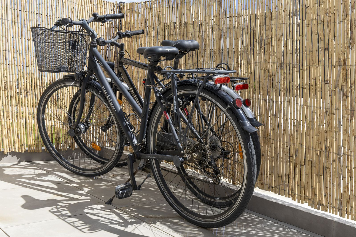 0adb5d0dce477c983bab76a55dd90dcf - 13