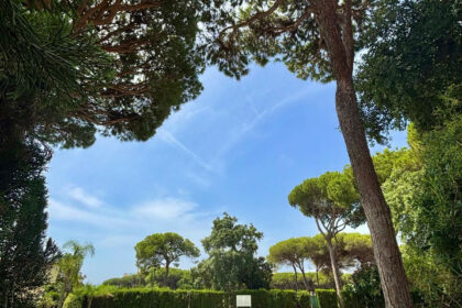 0c54a82507b3ec6183dcfb8e7757ac2a - 14