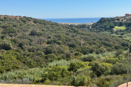 0e089068347600010997fd9c1fec695f - 21