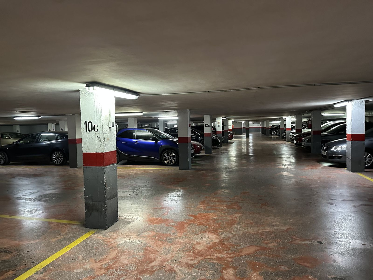 0f62ccd63f4021fa2f6f333c7f7bd9bc - 24