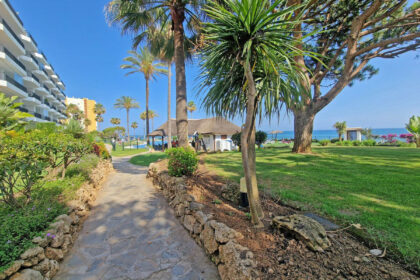 116b0630cb09c14391f89583bbee9dba - 1