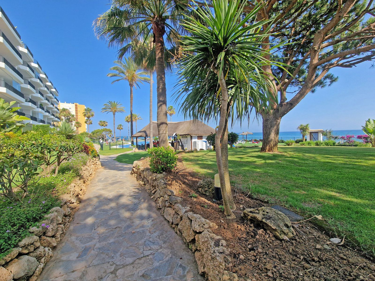 116b0630cb09c14391f89583bbee9dba - 1