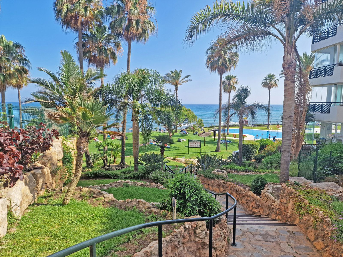 116b0630cb09c14391f89583bbee9dba - 3