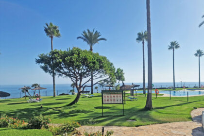 116b0630cb09c14391f89583bbee9dba - 32