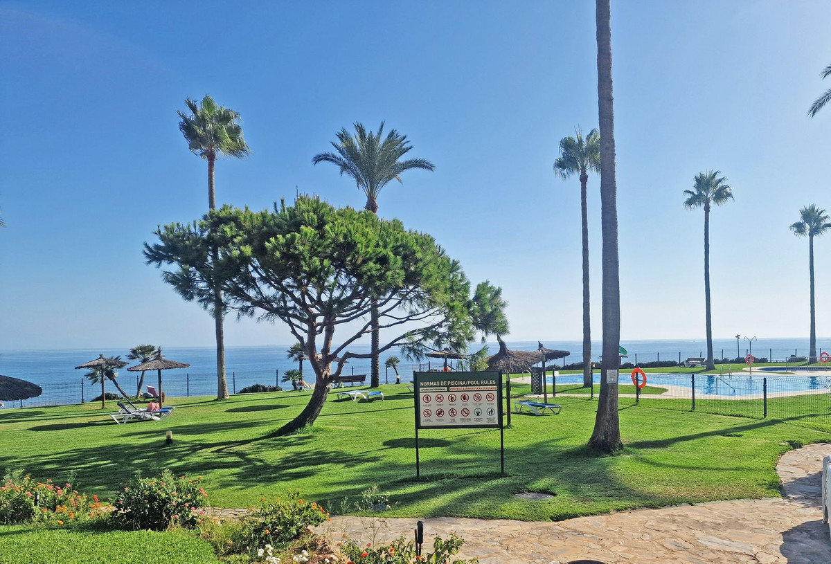 116b0630cb09c14391f89583bbee9dba - 32