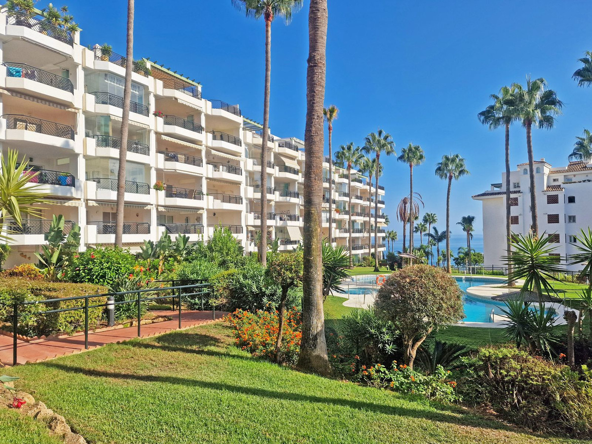 116b0630cb09c14391f89583bbee9dba - 36